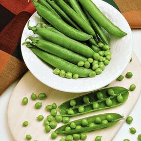 Mr. Big, Pea Seeds